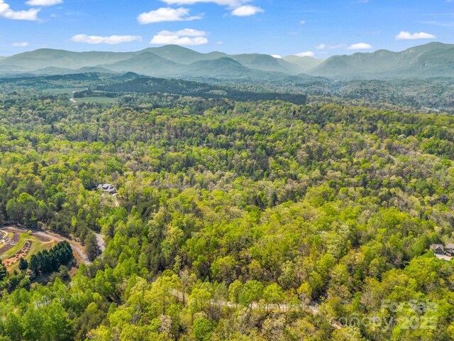 LOT14 Forest Glen Trl, Lake Lure, NC 28746