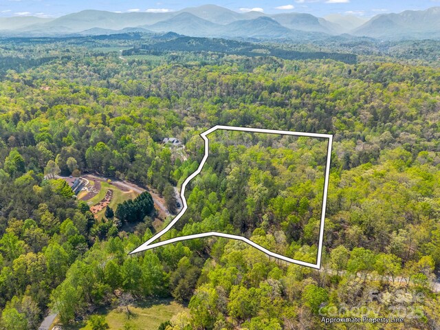 LOT14 Forest Glen Trl, Lake Lure, NC 28746