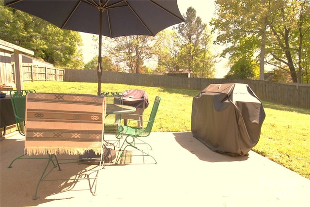 7428 Beaufort Cir, Charlotte, NC 28227 - view of patio / terrace with a fenced backyard and a grill