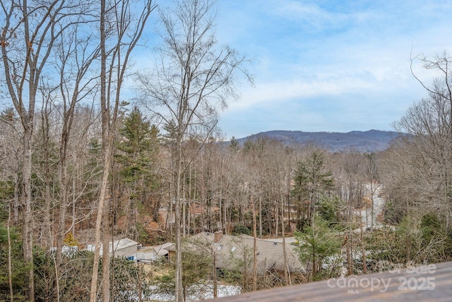 45 Jennifer Dr Unit 3, Hendersonville, NC 28791 - photo 34