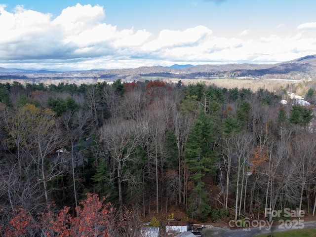 45 Jennifer Dr Unit 3, Hendersonville, NC 28791 - photo 36