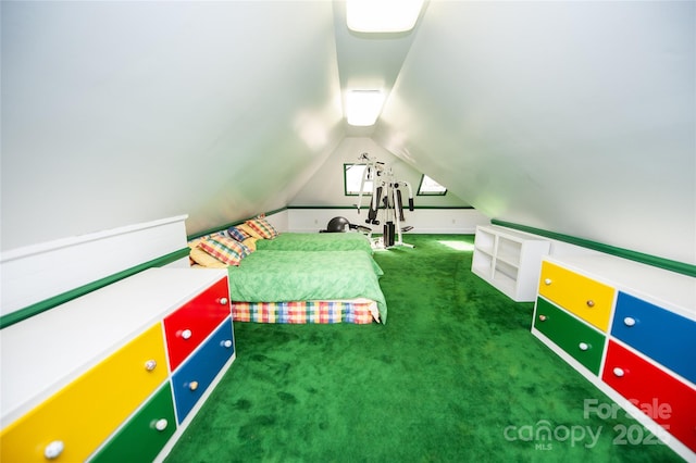 447 N Washington St, Rutherfordton, NC 28139 - unfurnished bedroom with carpet and vaulted ceiling