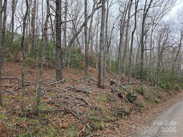 LOT12 Patton Thicket Rd, Burnsville, NC 28714