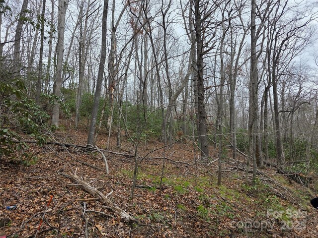 LOT12 Patton Thicket Rd, Burnsville, NC 28714