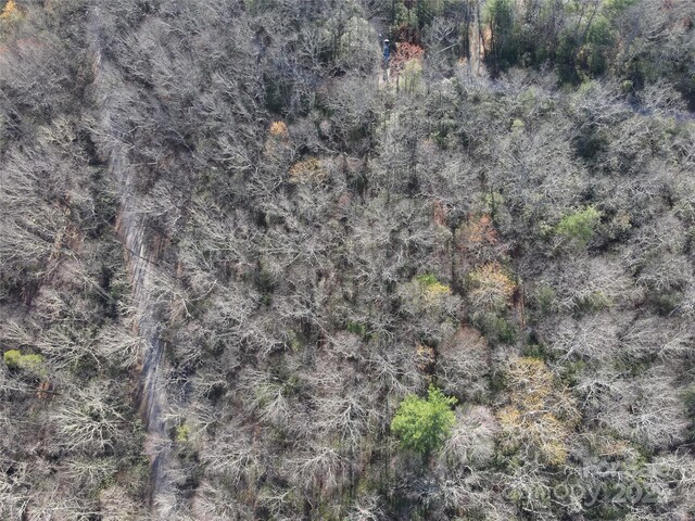 LOT12 Patton Thicket Rd, Burnsville, NC 28714