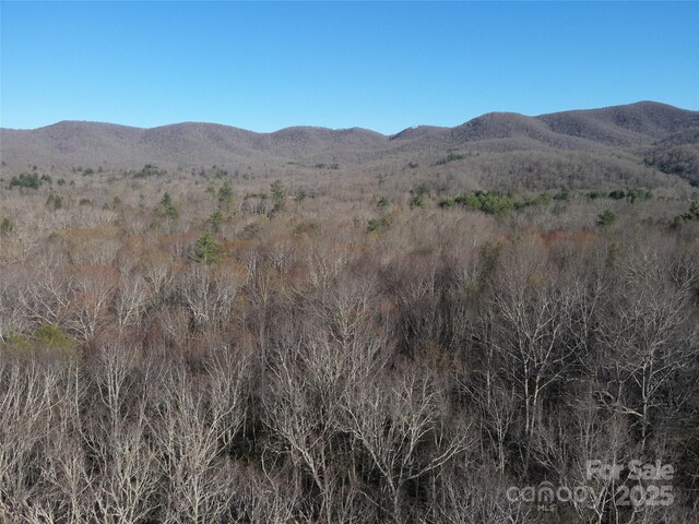 LOT12 Patton Thicket Rd, Burnsville, NC 28714