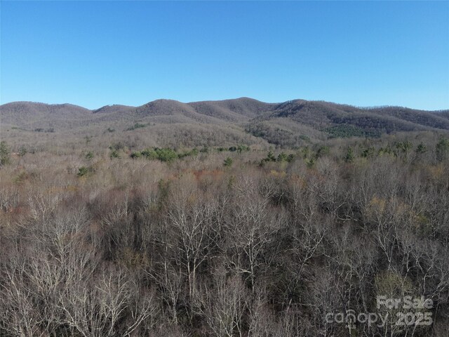 LOT12 Patton Thicket Rd, Burnsville, NC 28714