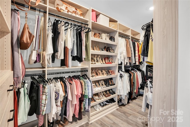 spacious closet with wood finished floors