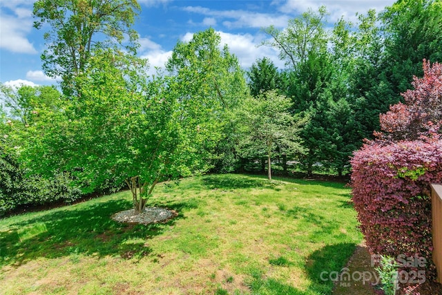 4333 Sawmill Trace Dr, Charlotte, NC 28213 - view of yard