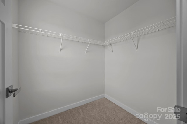12710 Es Draper Dr, Huntersville, NC 28078 - photo 34