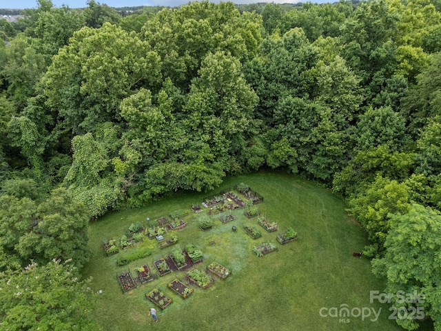 12710 Es Draper Dr, Huntersville, NC 28078 - photo 42