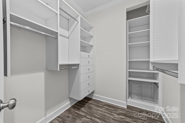 18700 Nautical Dr Unit 203, Cornelius, NC 28031 - walk in closet with dark wood finished floors