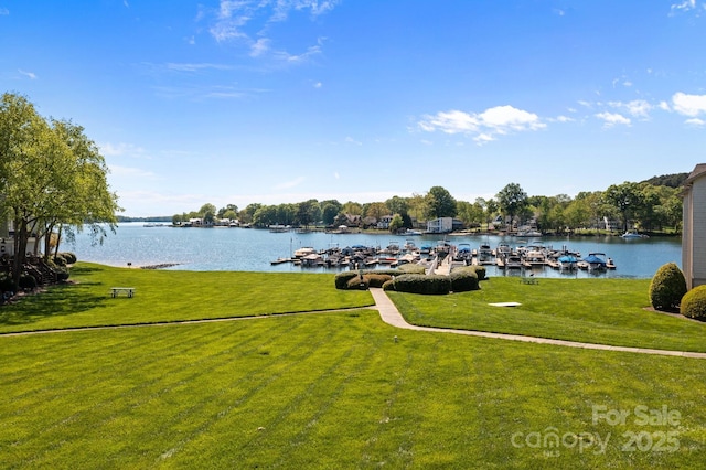 18700 Nautical Dr Unit 203, Cornelius, NC 28031 - water view