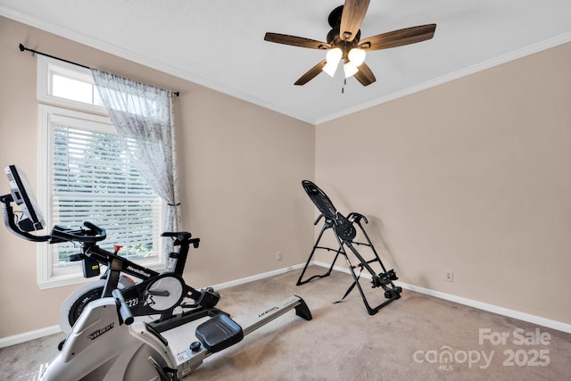 126 Top Flite Dr, Statesville, NC 28677 - workout area with crown molding, carpet, a ceiling fan, and baseboards