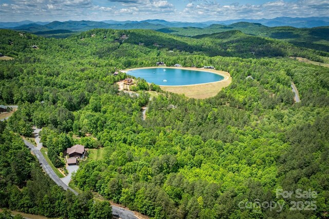 80 Grandview Loop, Nebo, NC 28761 - photo 37