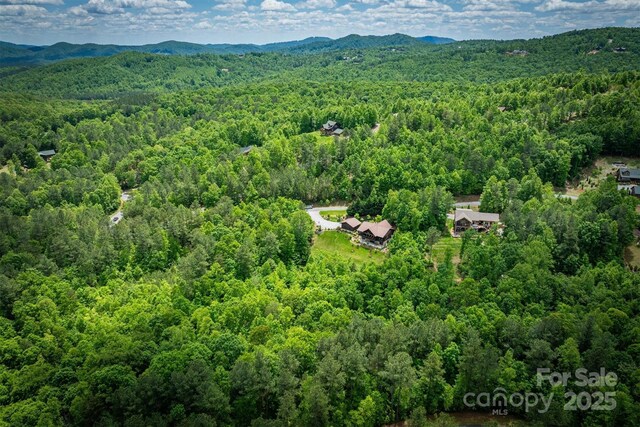80 Grandview Loop, Nebo, NC 28761 - photo 39