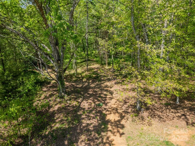 view of nature featuring a forest view
