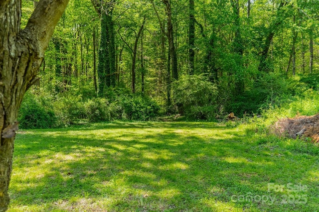 view of yard featuring a forest view