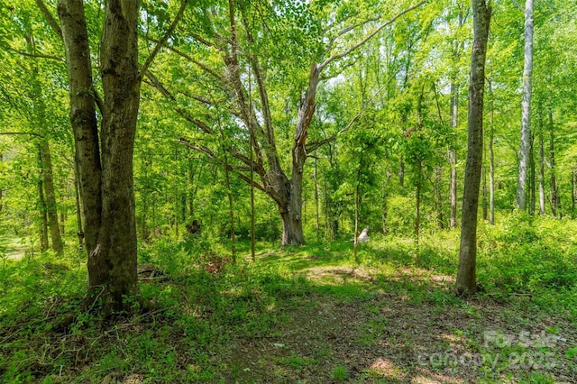 view of landscape with a wooded view