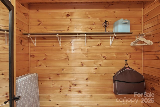 475 S Toe River Rd, Burnsville, NC 28714 - view of walk in closet