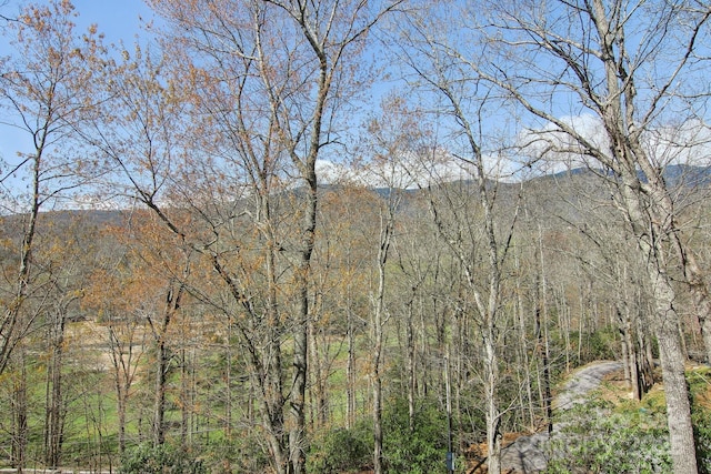 475 S Toe River Rd, Burnsville, NC 28714 - view of local wilderness with a view of trees