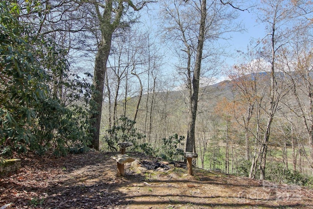 475 S Toe River Rd, Burnsville, NC 28714 - view of nature with a mountain view and a forest view
