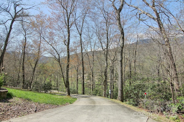 475 S Toe River Rd, Burnsville, NC 28714 - view of road with a wooded view