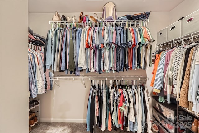 walk in closet featuring carpet floors