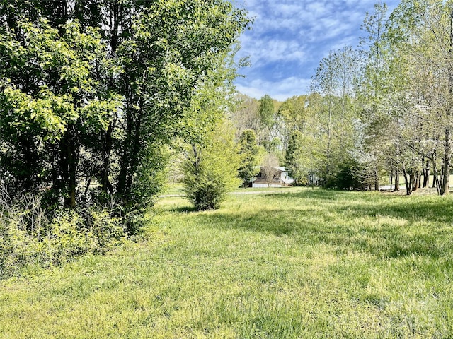 105 Branson Dr, Olin, NC 28660 - view of yard featuring a forest view