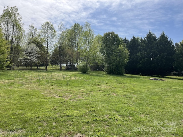 105 Branson Dr, Olin, NC 28660 - view of yard