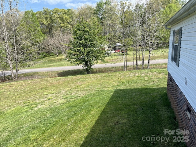 105 Branson Dr, Olin, NC 28660 - view of yard