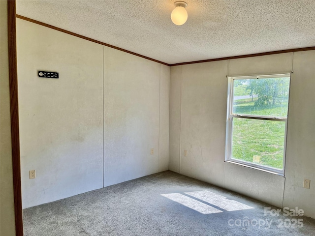 105 Branson Dr, Olin, NC 28660 - carpeted empty room with a wealth of natural light, a textured ceiling, and crown molding