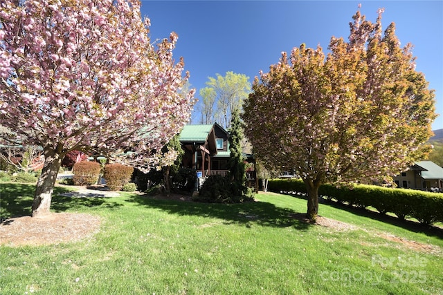 36 Destiny Trl, Maggie Valley, NC 28751 - view of green lawn