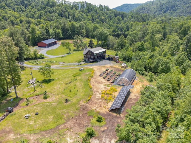 146 W Green Briar Ln, Green Mountain, NC 28740 - bird's eye view of a heavily wooded area