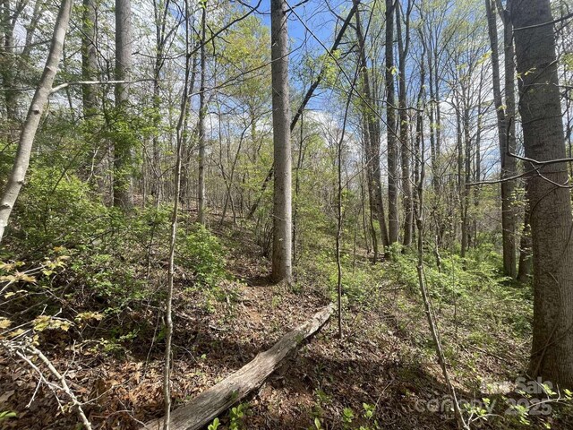 157 Richmond Ridge Rd, Asheville, NC 28806 - photo 2