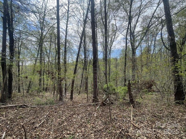 157 Richmond Ridge Rd, Asheville, NC 28806 - photo 3