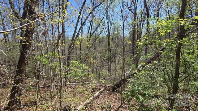 157 Richmond Ridge Rd, Asheville, NC 28806 - photo 8