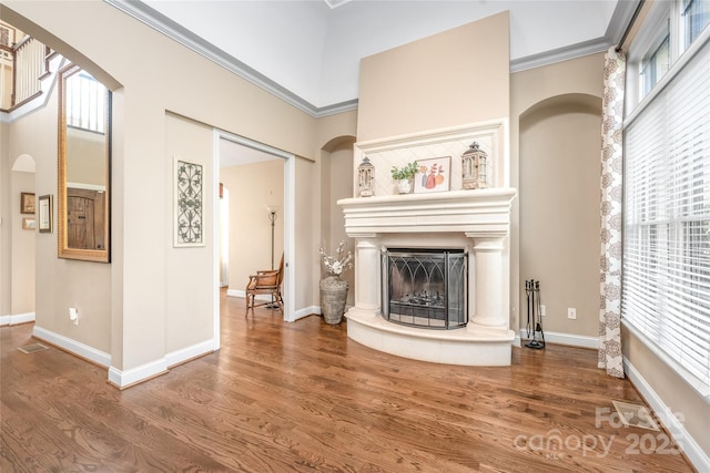 3005 Dream Catcher Cir, Fort Mill, SC 29715 - unfurnished living room with plenty of natural light, a fireplace with raised hearth, arched walkways, and wood finished floors
