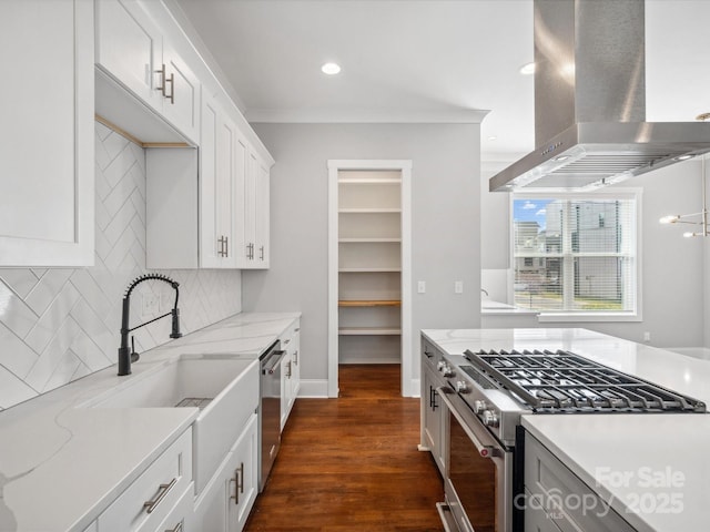 kitchen featuring a sink, ventilation hood, dark wood-style flooring, stainless steel appliances, and decorative backsplash