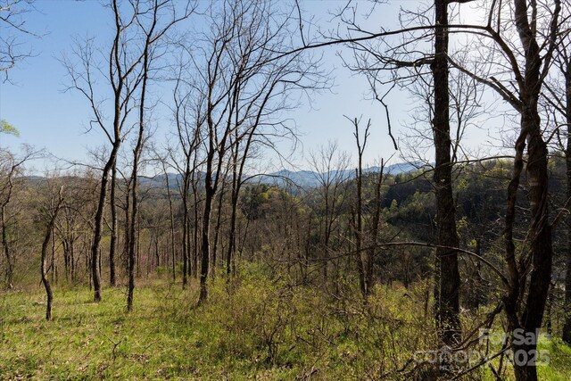 TBD Sweetwater Rd, Marshall, NC 28753