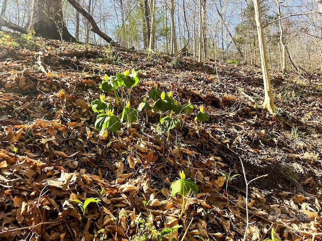 TBD Sweetwater Rd, Marshall, NC 28753