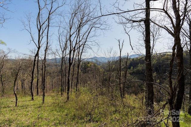 TBD Sweetwater Rd, Marshall, NC 28753