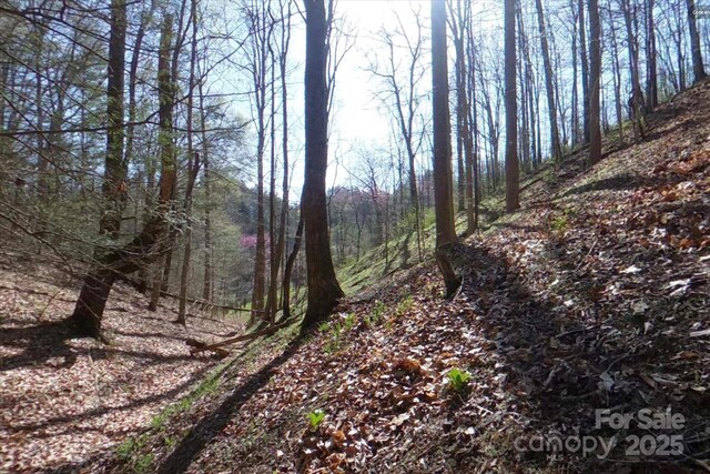 TBD Sweetwater Rd, Marshall, NC 28753