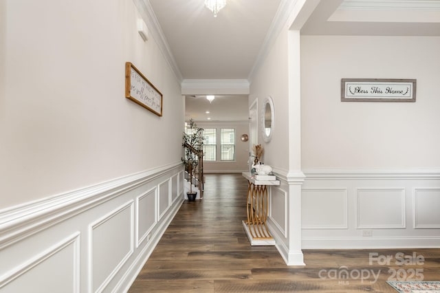 hall with a decorative wall, dark wood-style flooring, crown molding, and a wainscoted wall
