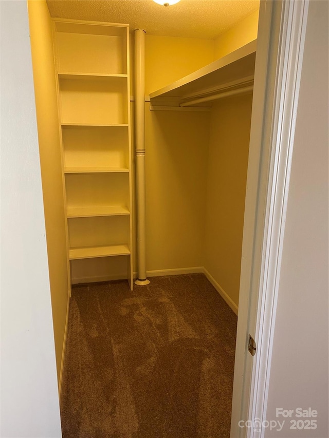 spacious closet featuring dark colored carpet