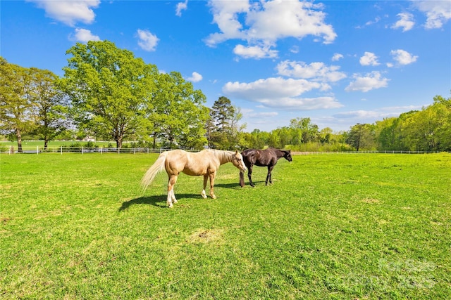 4896 Pageland Hwy, Lancaster, SC 29720 - view of yard with a view of rural / pastoral area