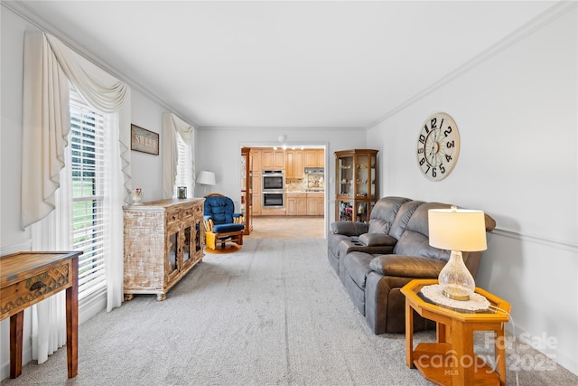 4896 Pageland Hwy, Lancaster, SC 29720 - living room featuring crown molding and light carpet