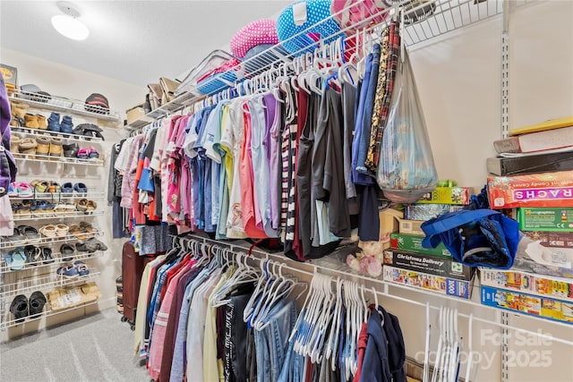 4896 Pageland Hwy, Lancaster, SC 29720 - walk in closet with carpet