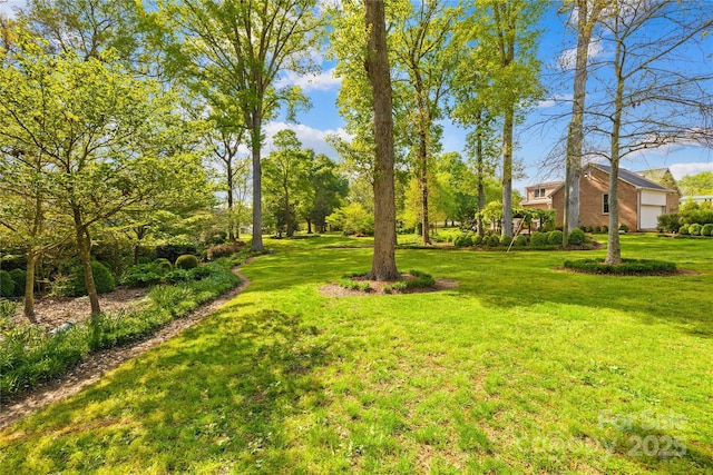 4896 Pageland Hwy, Lancaster, SC 29720 - view of grassy yard