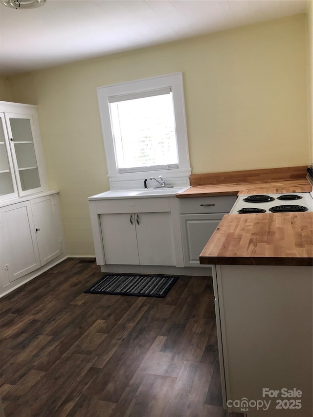 4896 Pageland Hwy, Lancaster, SC 29720 - kitchen with butcher block counters, dark wood-style flooring, glass insert cabinets, and white cabinets
